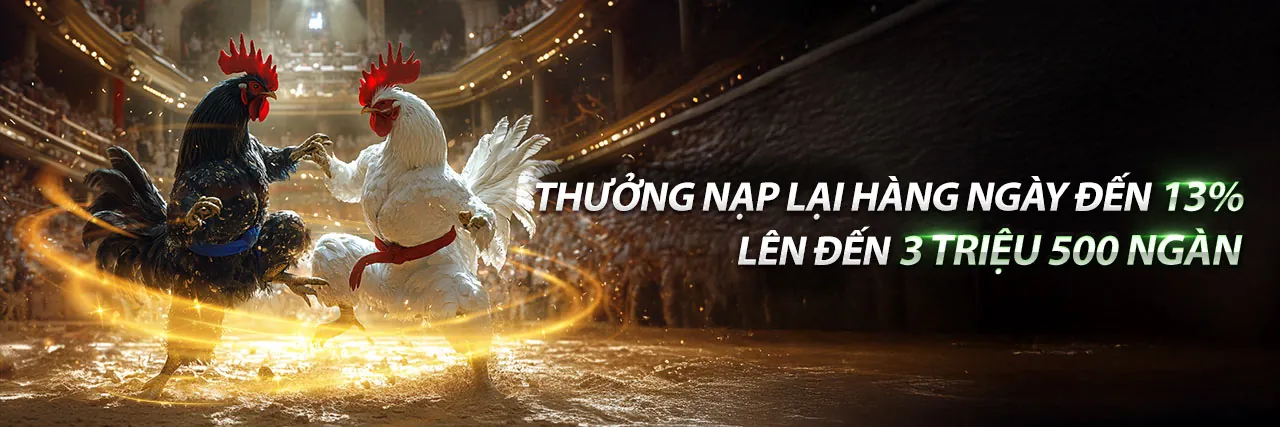 Các Chương Trình Khuyến Mãi Hấp Dẫn Nhất Tại 88i Nhà Cái 2026